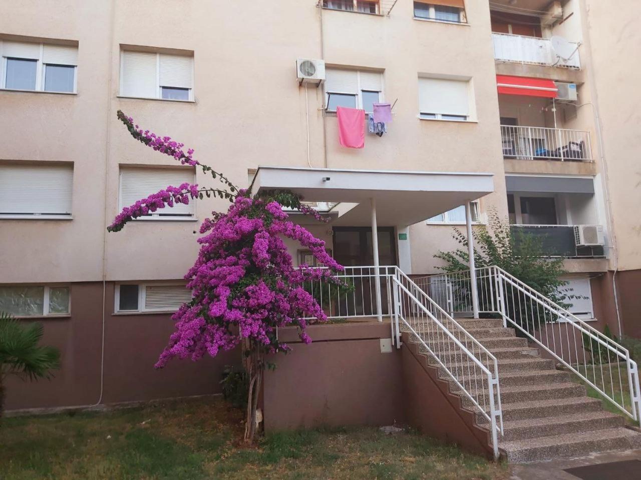 Popovic Apartment พูลา ภายนอก รูปภาพ